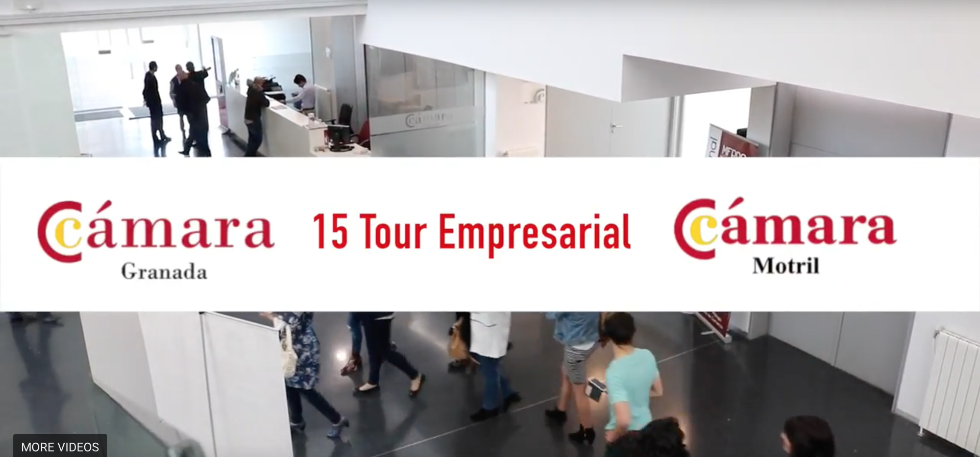 Vídeo resumen del 15 Tour Empresarial