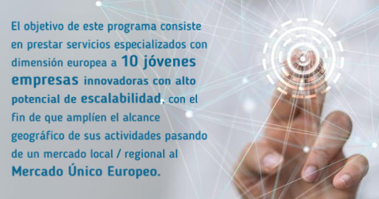 Programa SCALE-UP 2019