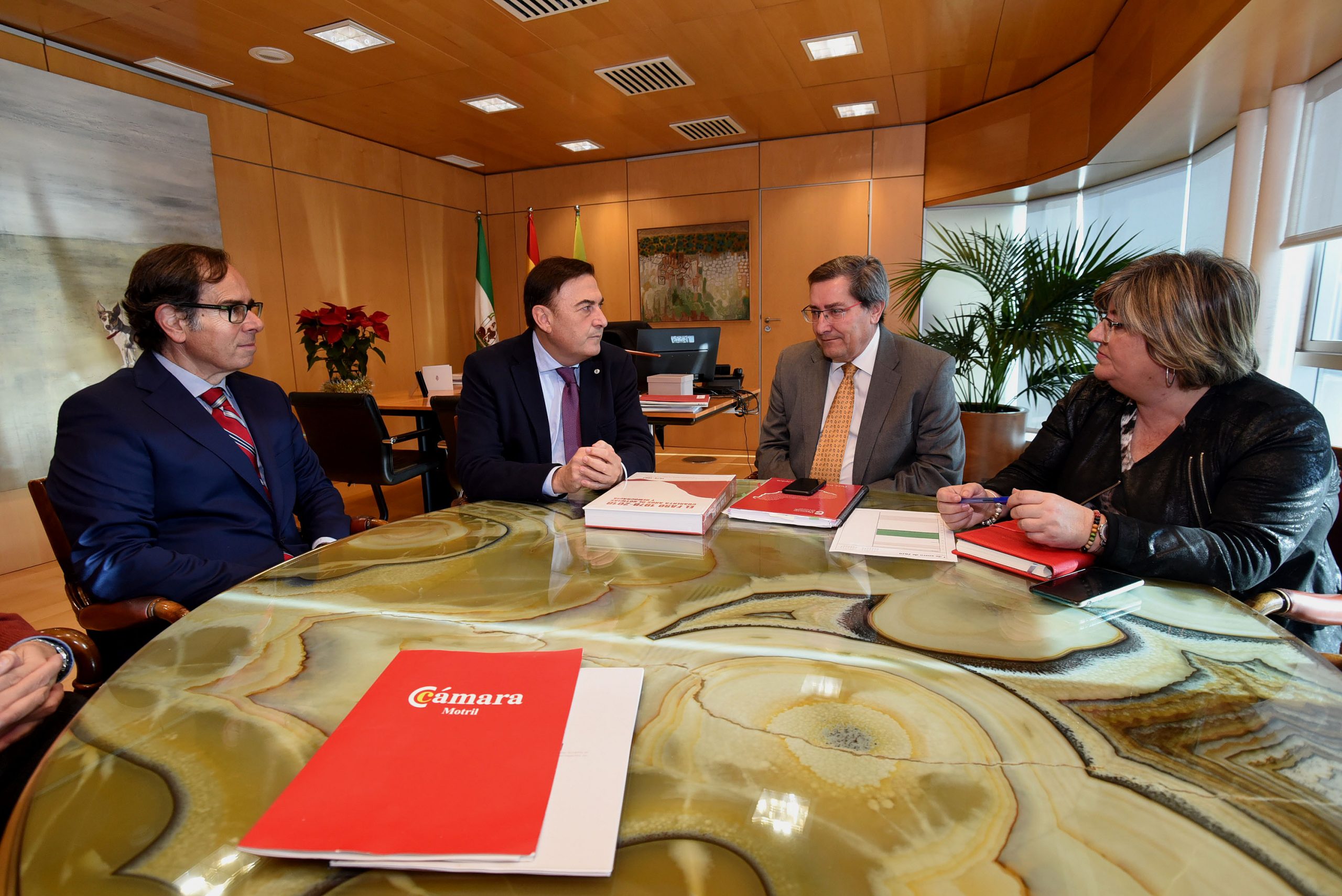 La Diputación de Granada recibe la visita de la directiva de la Cámara de Comercio de Motril.